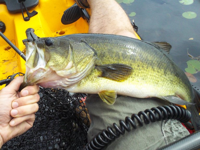 Kayak Fishing Great Pond, NH • Wanderings
