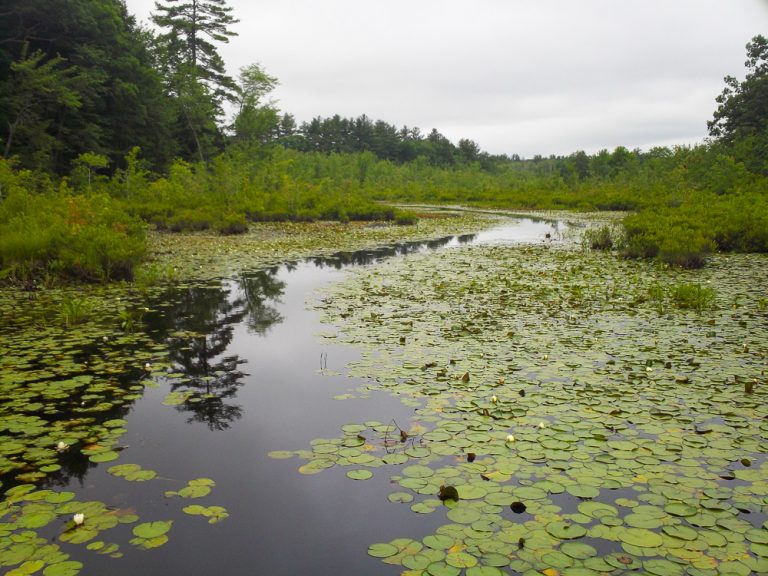 Kayak Fishing Great Pond, NH • Wanderings