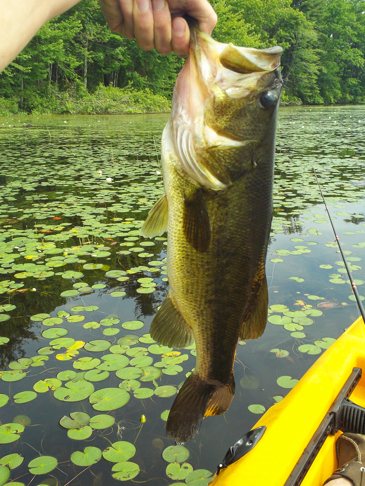 Kayak Fishing Great Pond, NH • Wanderings
